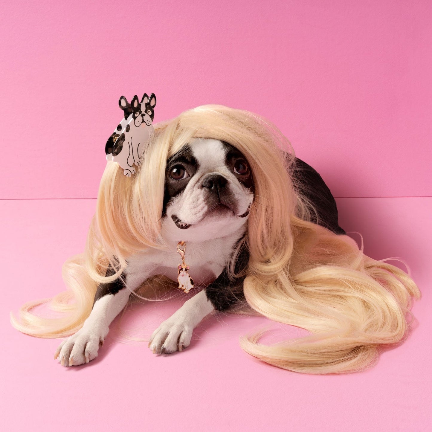 Pince à cheveux Chien Bouledog Coucou Suzette vue complémentaire