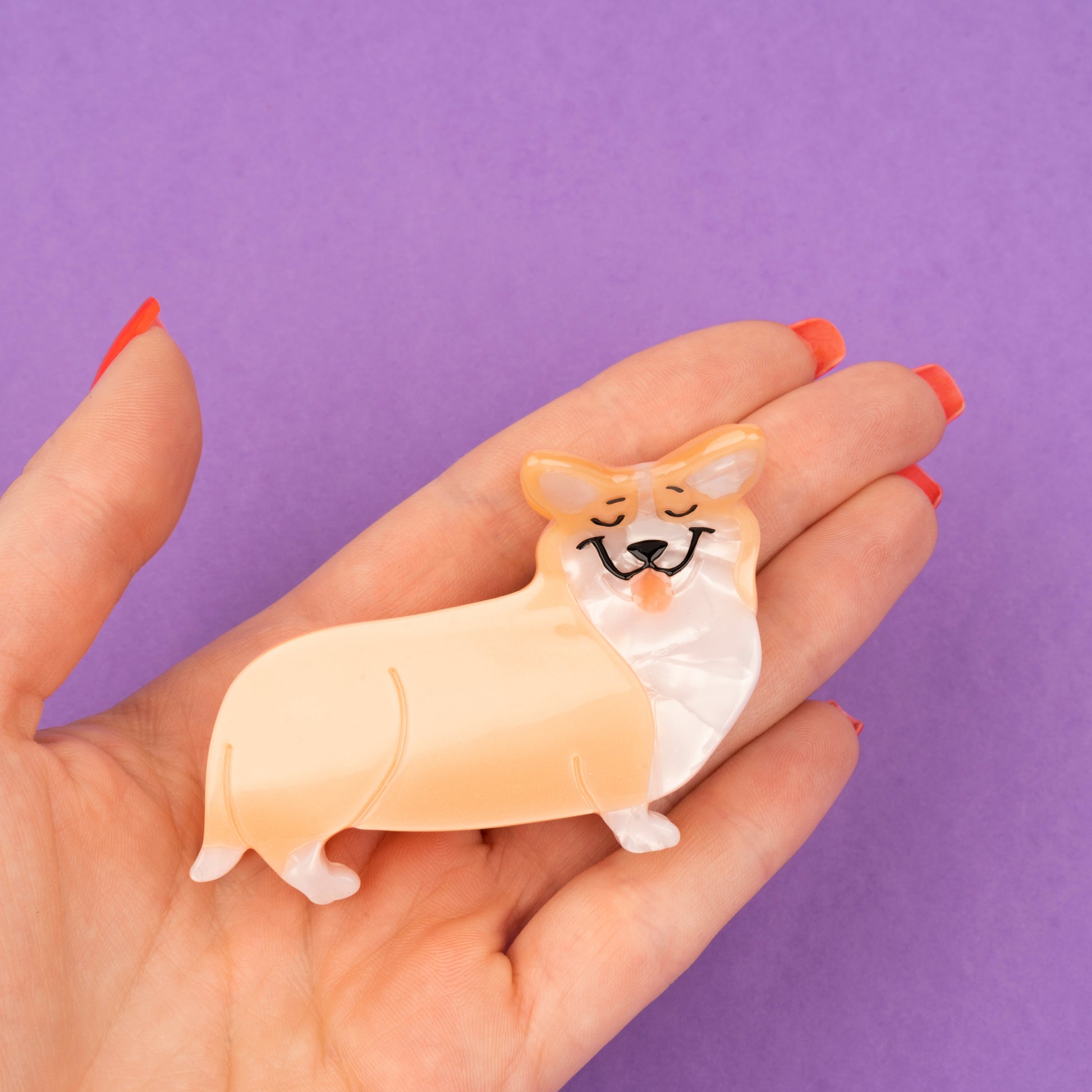 Pince à cheveux Chien Corgi Coucou Suzette vue produit