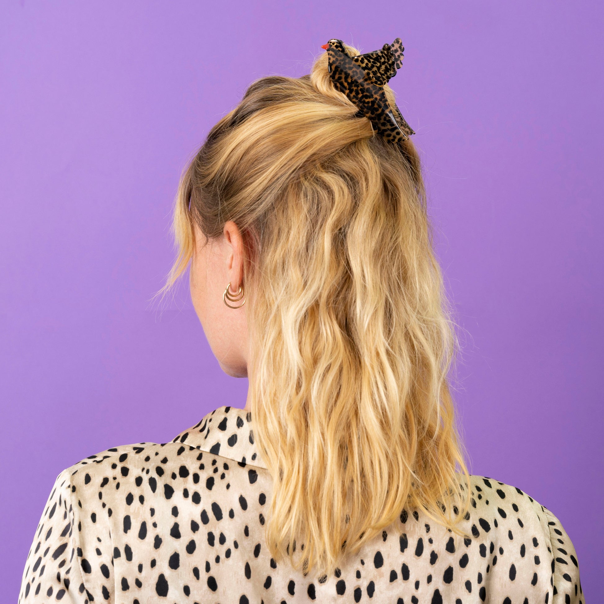Pince à cheveux Grive Coucou Suzette vue produit