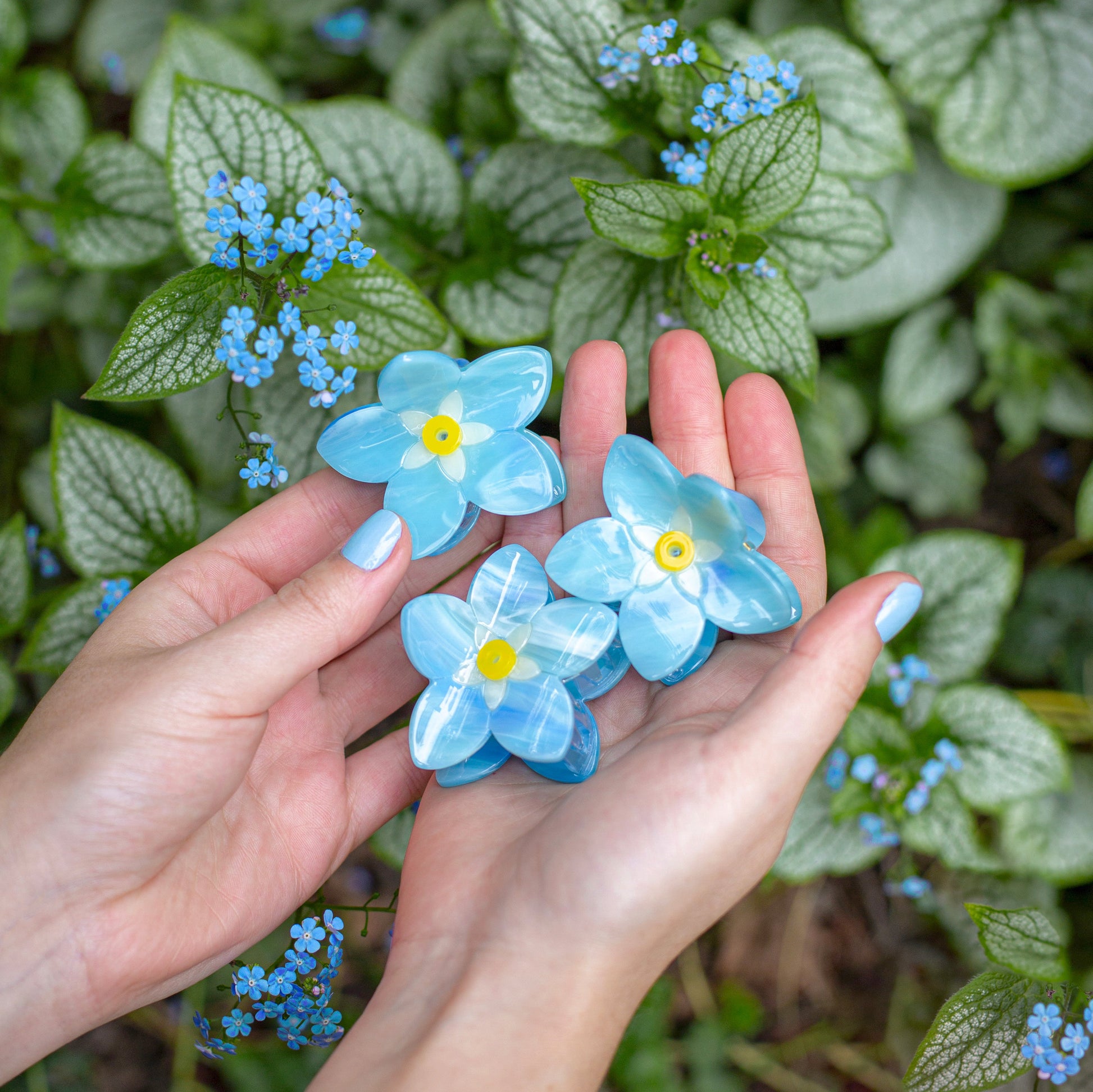 Pince à cheveux Myosotis Coucou Suzette vue complémentaire 2