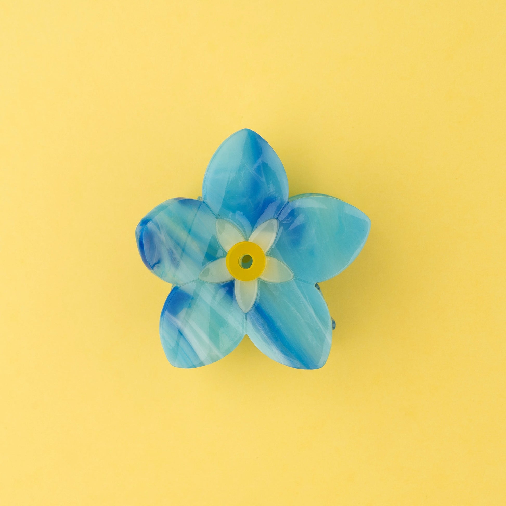 Pince à cheveux Myosotis Coucou Suzette vue complémentaire 4