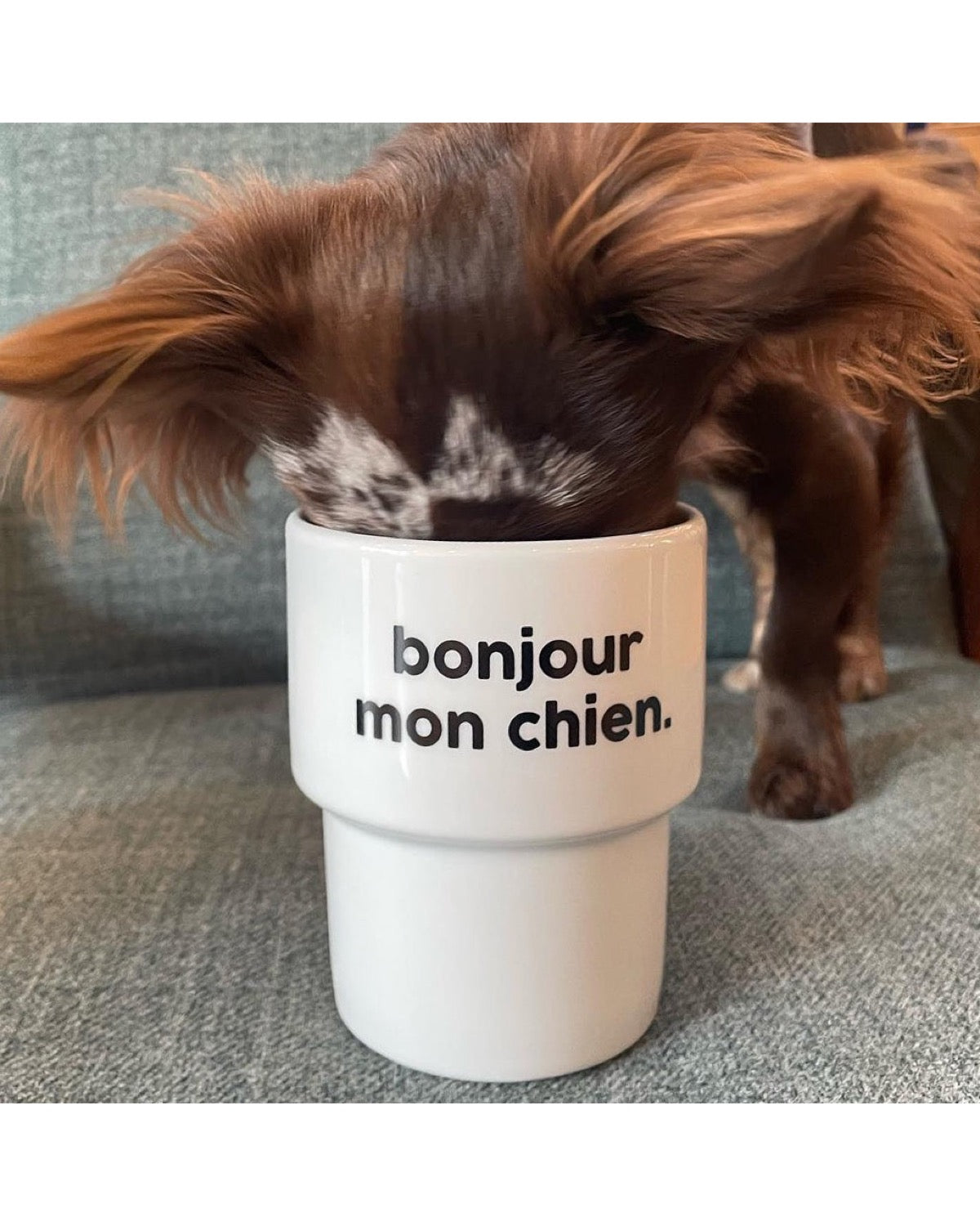 Gobelet Bonjour Mon Chien - Félicie Aussi