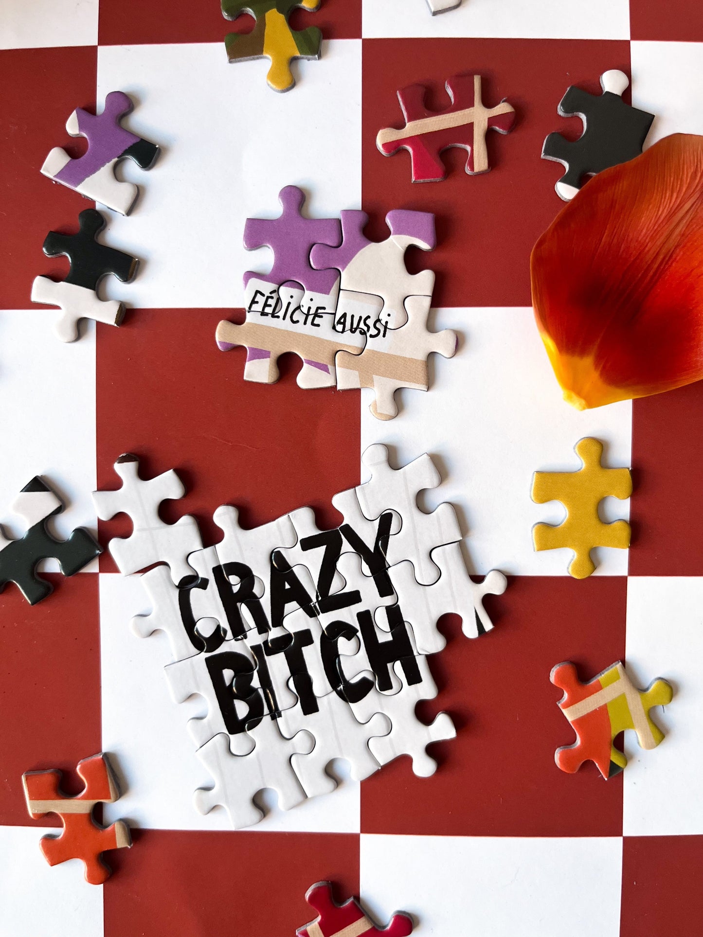 Puzzle Dimanche matin 9h03 - Félicie Aussi visuel pièces