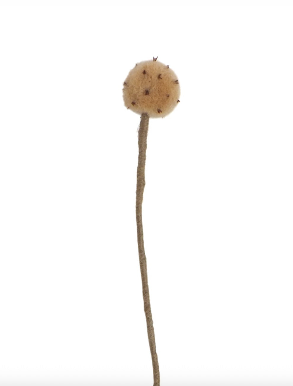 Fleur chardon Thistle en laine – vue 5