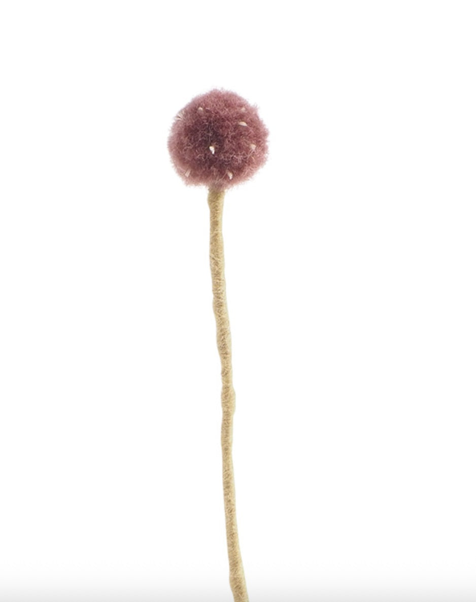 Fleur chardon Thistle en laine – vue 7