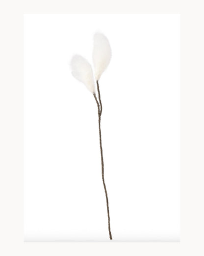 Fleur linaigrette Cottongrass en laine – vue principale 4:5