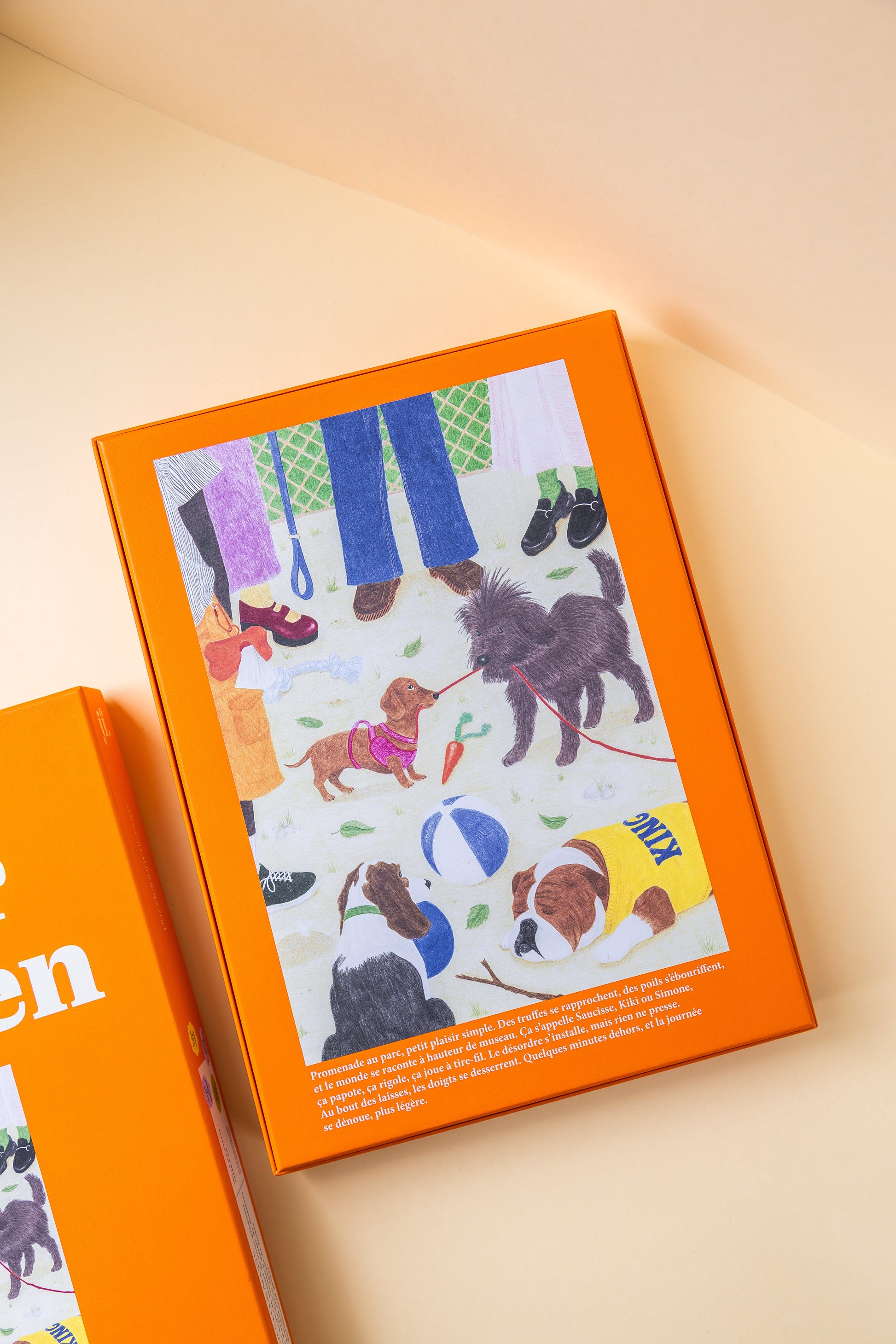 Boîte et pièces du puzzle Sortir le chien Jour Férié
