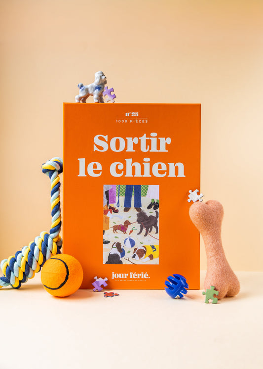 Boîte orange du puzzle Sortir le chien de Jour Férié avec jouets pour chien