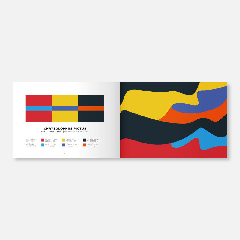 Palette Chrysolophus Pictus dans Color Inspiration Volume 2 Papier Tigre