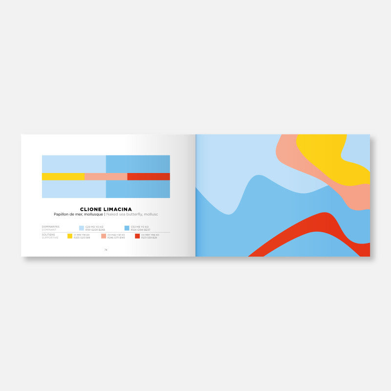 Palette Cilone Limacina dans Color Inspiration Volume 2 Papier Tigre