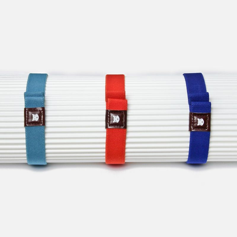 Trois élastiques porte-stylos Papier Tigre dans des tons bleu et rouge