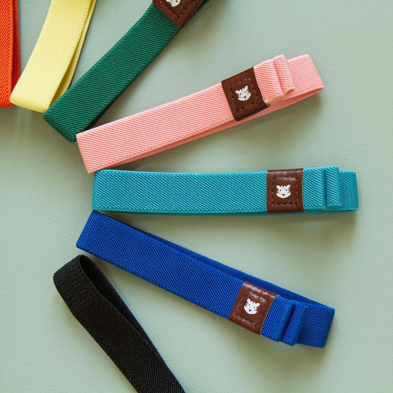 Assortiment coloré d’élastiques porte-stylos Le Voyageur Papier Tigre