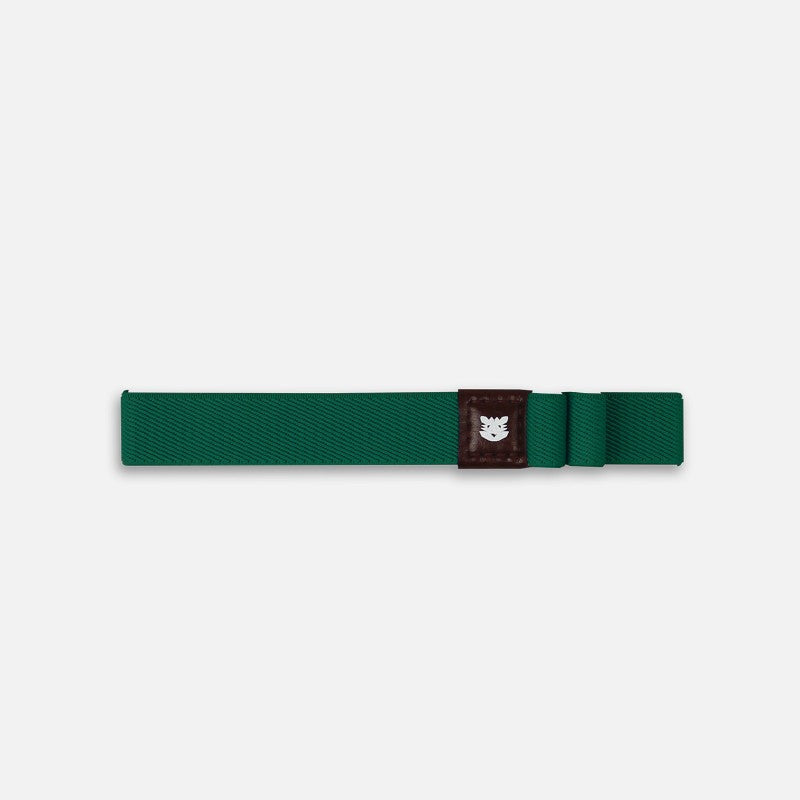Le Voyageur Dublin vert Papier Tigre vu à plat