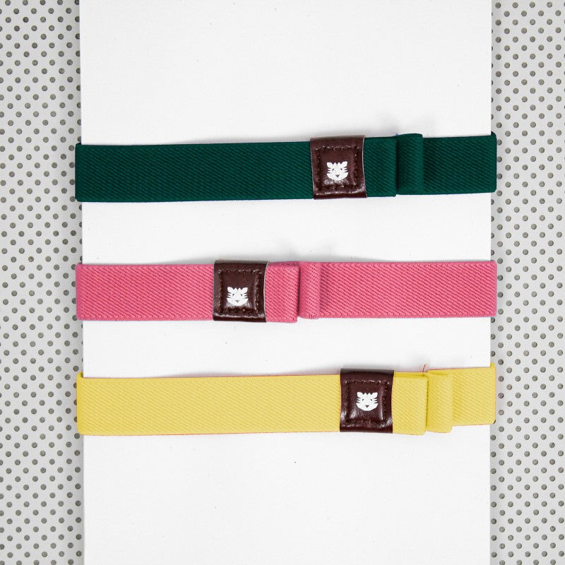 Élastiques porte-stylos Papier Tigre vert, rose et jaune sur des carnets